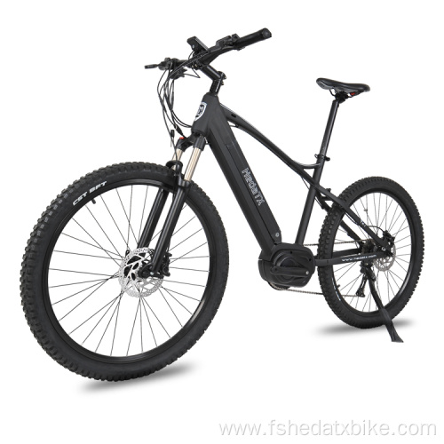 Versatile electric mountain bike